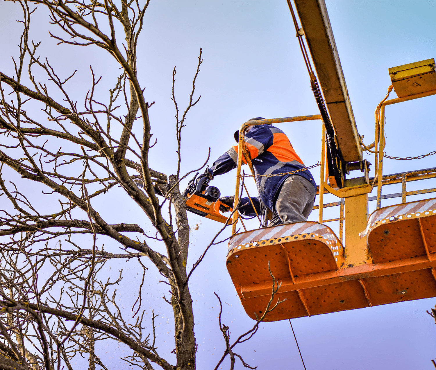 Tree Services and Landscaping | Real Time Marketing