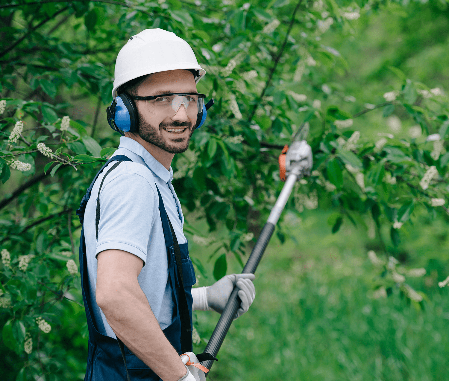 Tree Services and Landscaping | Real Time Marketing