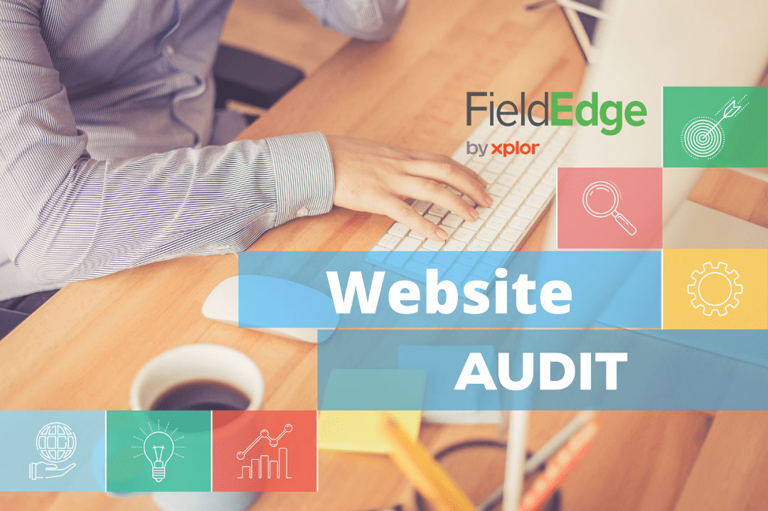 Website-Audit-fieldedge
