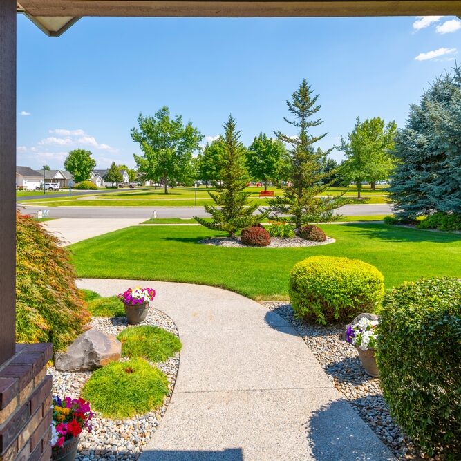 clean lawn front yard landscape
