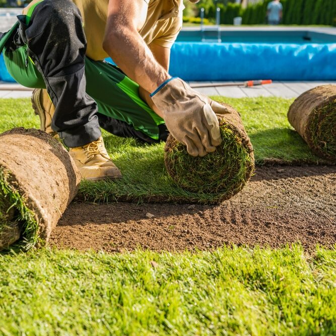 Large,Rolls,Of,Natural,Grass,Turfs,Being,Installed,Inside,A